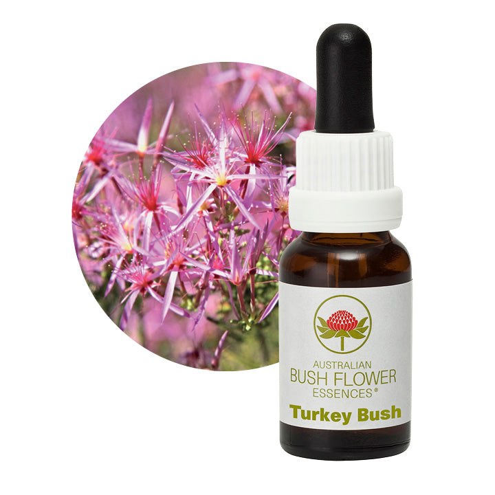 Turkey Bush – Australian Bush Flower Essences