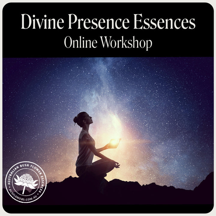 Divine Presence Essences Webinar