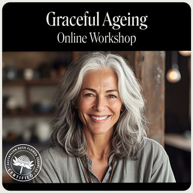 Graceful Ageing Webinar