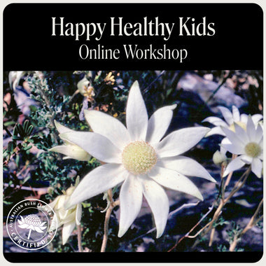 Happy Healthy Kids Webinar