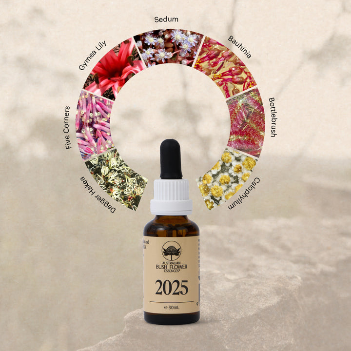 2025 Essence 30ml