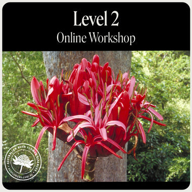 Level 2 Webinar