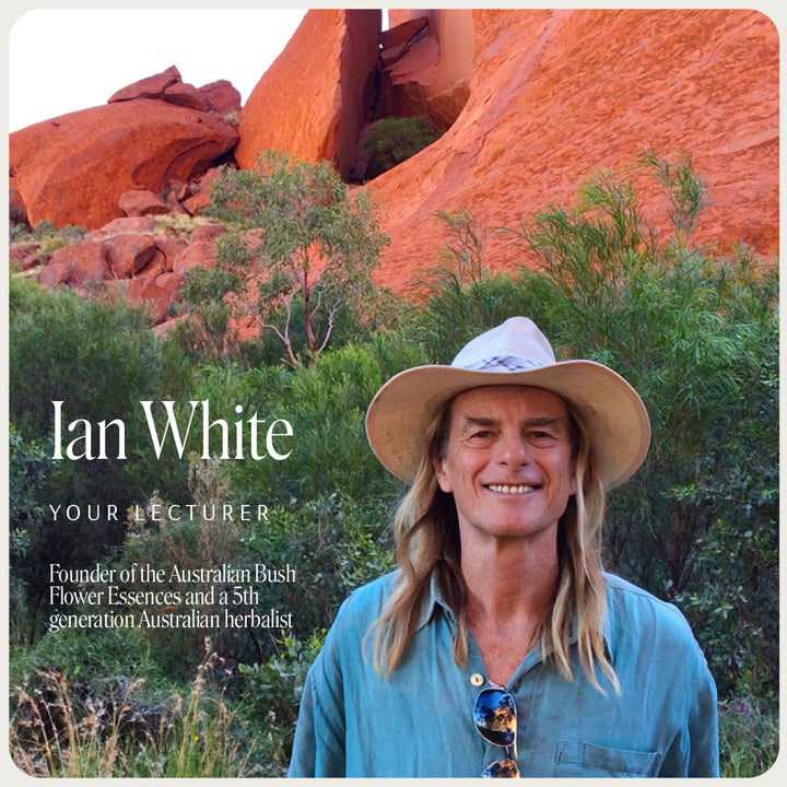 Image of Ian White hosting the Numerology Online Workshop. Discover the energetic influence of numbers, understand personality traits, and find direction in life through numerology. Learn to choose Bush Essences for various chart aspects.